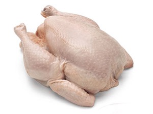 Chicken chicken.jpg