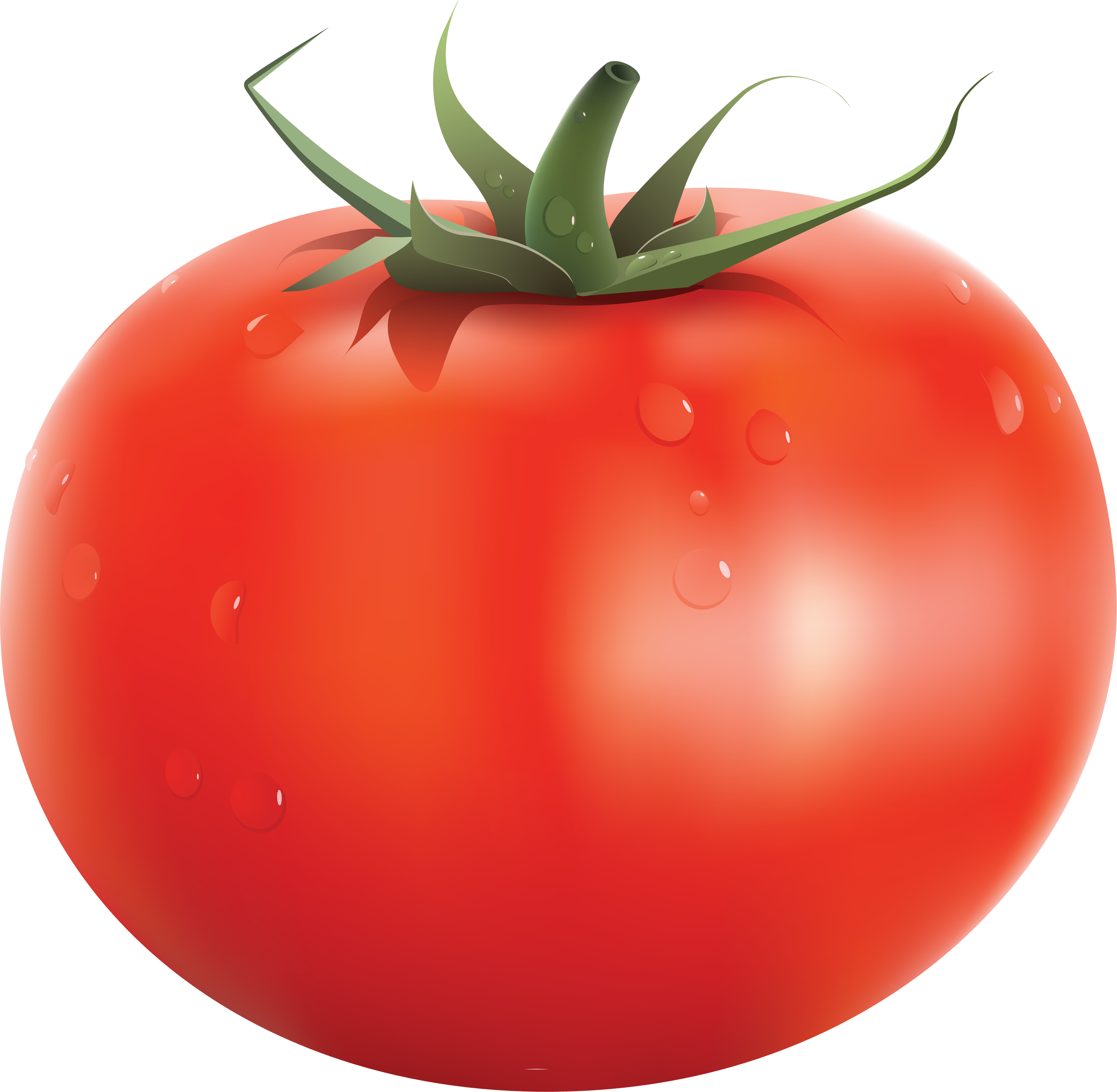 Tomato tomato.png